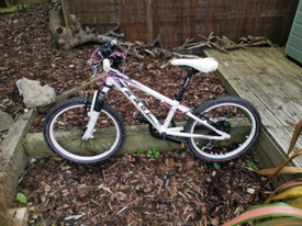 islabike creig 24 gumtree